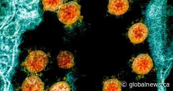 Saskatchewan reports 0 new coronavirus cases, active cases continue to drop