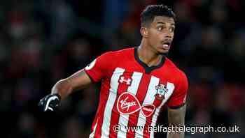 Southampton duo Mario Lemina and Harrison Reed join Fulham in Premier League
