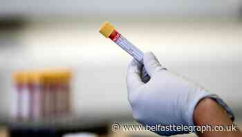 Up to 1,900 could die in Northern Ireland in coronavirus second wave: claim