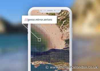 What3Words: Emergency services want people to download this life-saving app