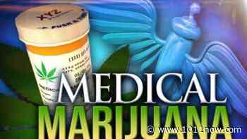 Nebraska medical marijuana initiative challenged in court - KOLN