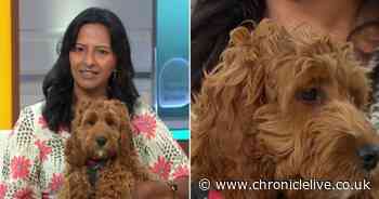 GMB host accidentally broadcasts her address and phone number to millions