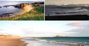 Four stunningly secluded Northumberland beaches to avoid the crowds
