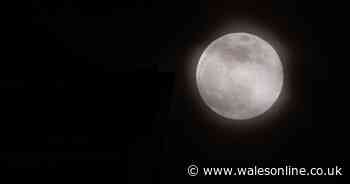 Corn Moon rising - when to catch this early September's full moon