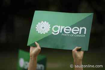 Nova Scotia candidate’s withdrawal shrinks Green Party leadership field