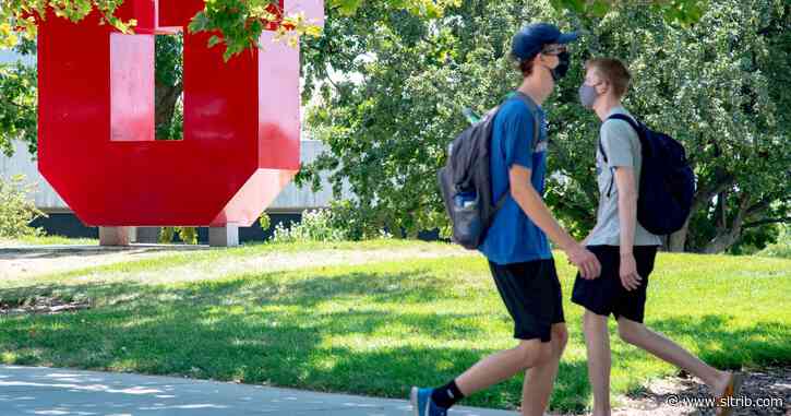 Letter: Make universities more democratic