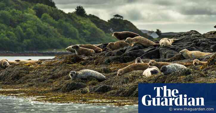 Involve local groups in protecting biodiversity, conservationists urge