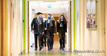 No new coronavirus deaths in Wales for fourth consecutive day