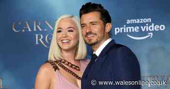 Katy Perry poses in underwear 5 days after giving birth