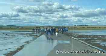 'Idiots' block Holy Island causeway to watch tide come in