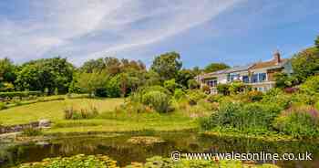 The beautiful house where you can live like Monet with your own water lily ponds