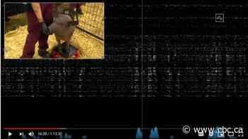 Elon Musk's Neuralink puts computer chips in animal brains