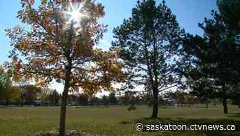 August says goodbye with sunshine: This your Saskatoon Forecast