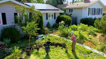 Labour of love pays off with permaculture success