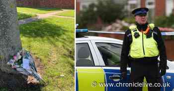 'Miss you already': Touching tribute to woman who died after being hit by a bus