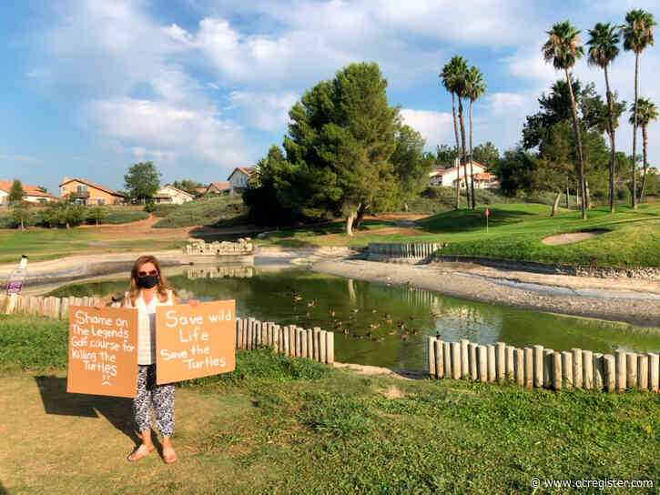 Missing turtles at Temecula golf course worry some residents
