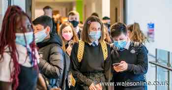 What happens if there is a case of coronavirus at your child's school