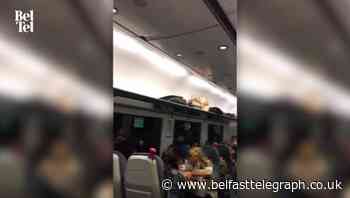 Watch: Translink launches probe and apologises as footage emerges of woman's 'packed' train trip