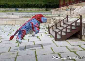 Maak een tijdreis met een mystieke leeuw als AR-gids