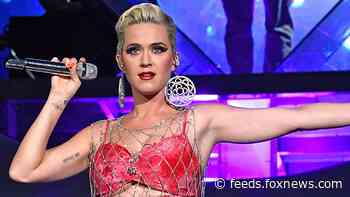 Katy Perry shows off post-baby body in nursing bra just days after giving birth