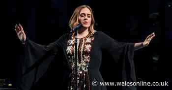 Adele shares bikini picture showing dramatic seven stone weight loss