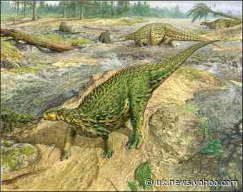 Long neglected after landmark discovery, armored dinosaur finally gets its due