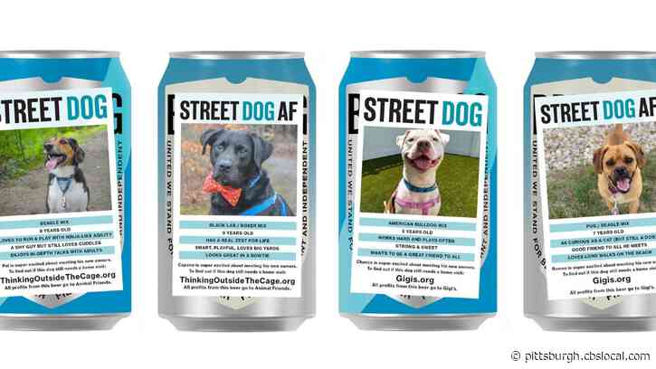 Furry Tails: BrewDog Helping Pittsburgh Pets Find Forever Homes