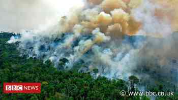 Amazon fires: Are they worse this year than before?