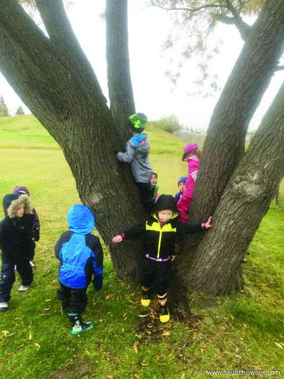 Outdoor school supplements public ed and learning at home
