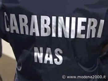 Carenze igienico-sanitarie, sanzioni Nas in un ristorante di Modena - Modena 2000