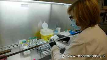 Contagio: 11 casi in provincia di Modena, tre sono ricoverati - ModenaToday