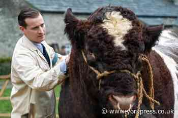 Channel 5's remake of classic All Creatures Great And Small begins tonight