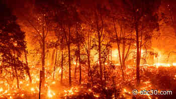 August Complex fires: Firefighter dies battling Northern California wildfire, forest officials confirm