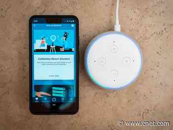 4 tricks to help Amazon Alexa understand you better     - CNET