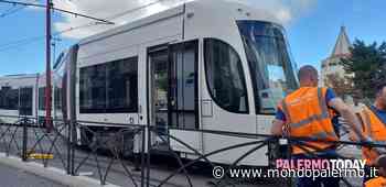 "Via Filippo Paladini, viviamo in una giungla di erba sui marciapiedi" - Mondopalermo.it