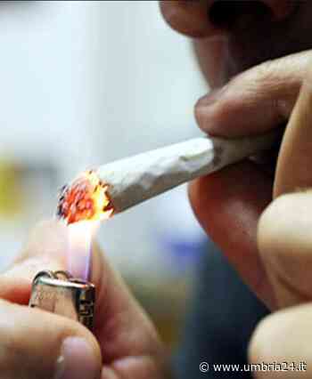‘Erba’ e ‘fumo’ a una platea di clienti minorenni: preso un coetaneo dopo la fuga - Umbria 24 News