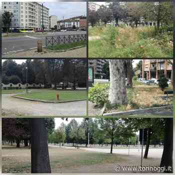 Santa Rita: i grandi parchi sono impeccabili, mentre l'erba alta si rifugia nelle aree più piccole [FOTO] - TorinOggi.it