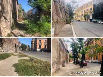Via Veneto, disboscata la giungla alle Mura Aureliane: via erba alta, rovi, cespugli | Com’era - Corriere della Sera