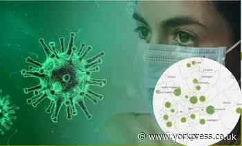 Coronavirus death toll revealed for every York neighbourhood