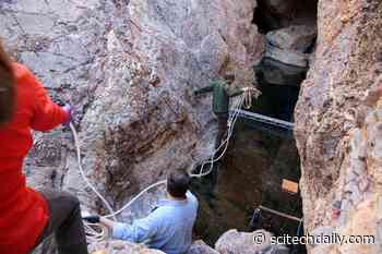 Two Major Microbial Groups Discovered That Can’t Breathe – May Predate the Evolution of Respiration