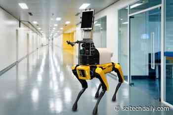 Robot Takes Contact-Free Measurements of COVID-19 Patients’ Vital Signs