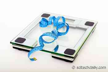 BMI Is a More Powerful Risk Factor for Diabetes Than Genetics – Losing Weight Could Prevent or Even Reverse Diabetes