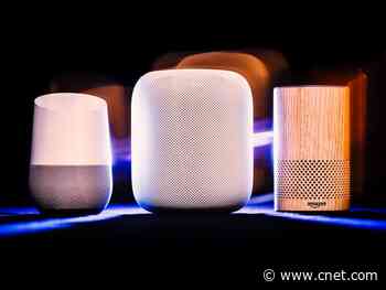 Best smart speakers of 2020: Nest Mini, Echo Dot, and Homepod compared     - CNET