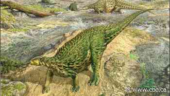 1st complete dinosaur skeleton, found in 1858, finally gets its due