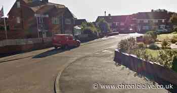 Police launch arson investigation after van fire outside Sunderland home