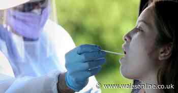 People in Wales offered Covid tests 200 miles away due to shortage