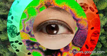 How to Stop the Next Pandemic - The New York Times