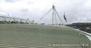 Zip wire planned for Principality Stadium in Cardiff