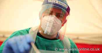 Coronavirus cases continue to rise at Norfolk chicken factory