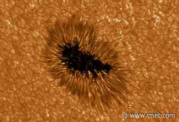Striking sunspot looks like a Star Wars sarlacc pit in telescope image     - CNET